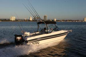 Signature 543F released